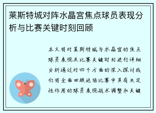 莱斯特城对阵水晶宫焦点球员表现分析与比赛关键时刻回顾
