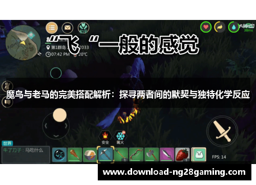 魔鸟与老马的完美搭配解析：探寻两者间的默契与独特化学反应