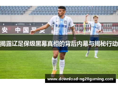 揭露辽足保级黑幕真相的背后内幕与揭秘行动