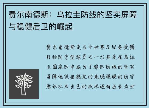 费尔南德斯：乌拉圭防线的坚实屏障与稳健后卫的崛起