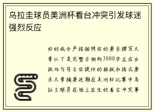 乌拉圭球员美洲杯看台冲突引发球迷强烈反应