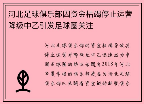 河北足球俱乐部因资金枯竭停止运营降级中乙引发足球圈关注
