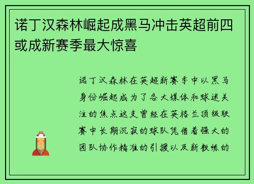 诺丁汉森林崛起成黑马冲击英超前四或成新赛季最大惊喜