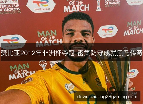 赞比亚2012年非洲杯夺冠 密集防守成就黑马传奇