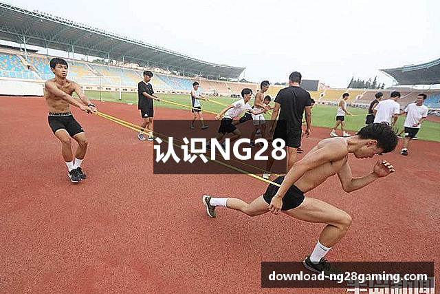NG28官方网站 - 相信品牌的力量
