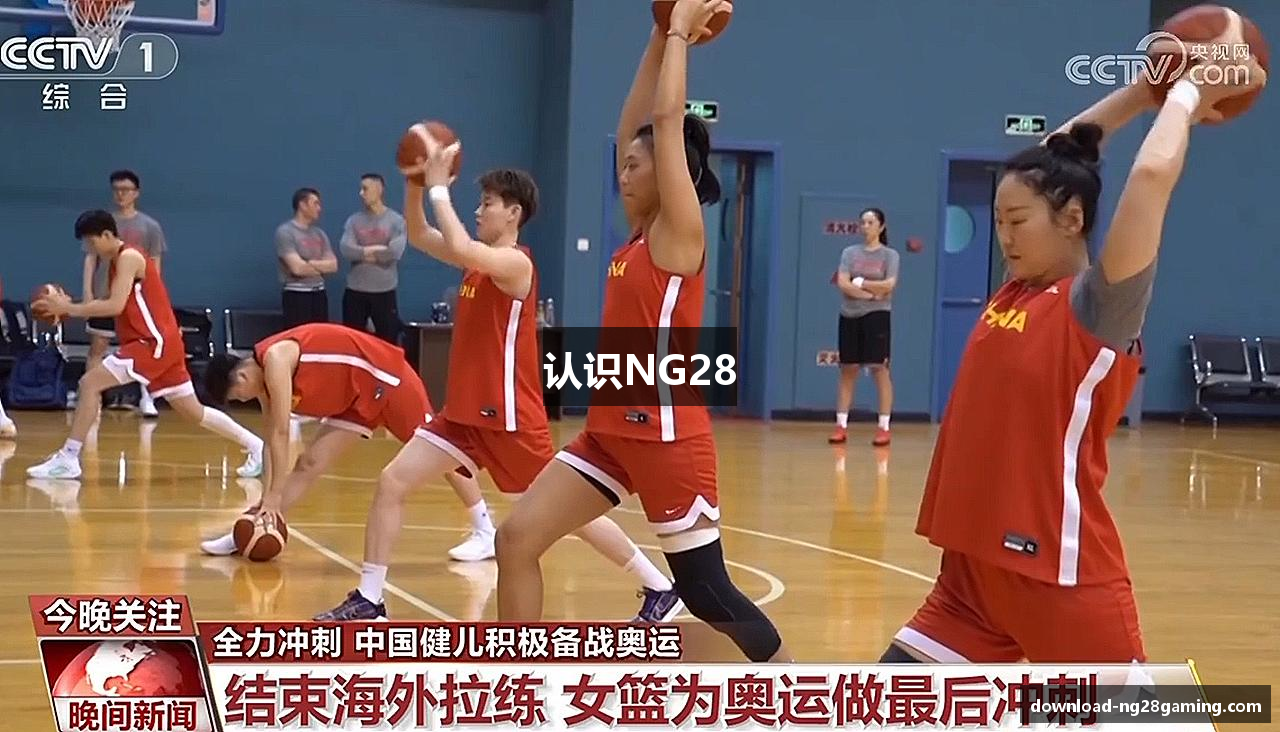 认识NG28